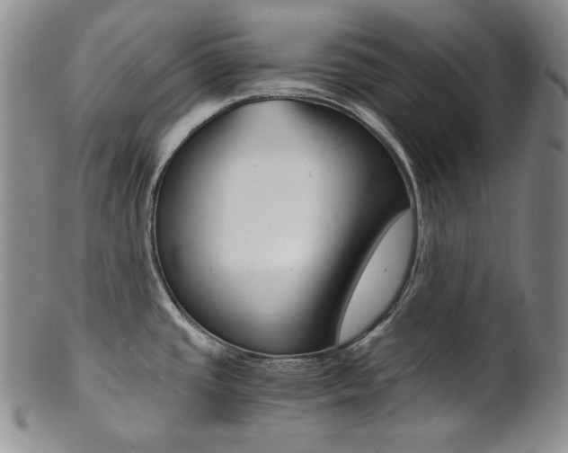 X0000101681437200807101133