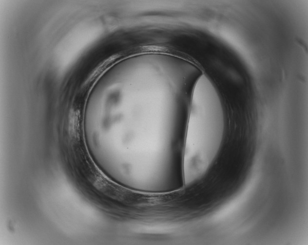 X0000101681438200807101133