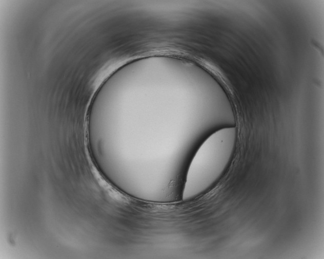X0000101681439200807101133