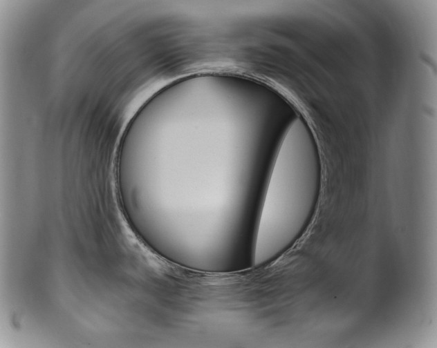 X0000101681440200807101133