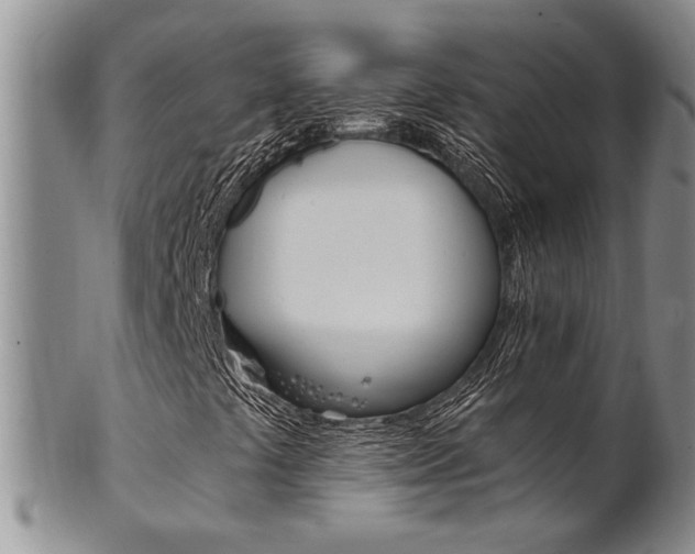 X0000101681441200807101133