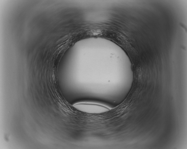 X0000101681442200807101133