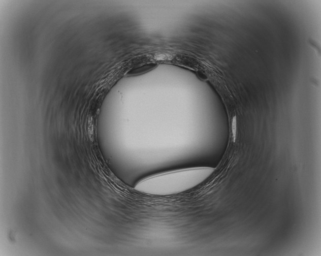 X0000101681443200807101133