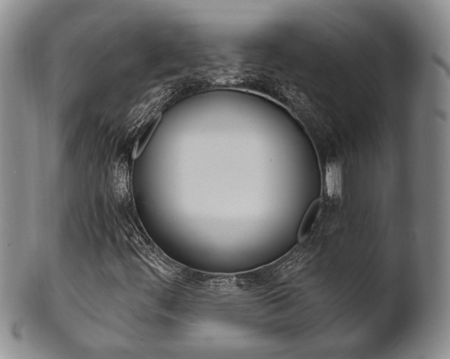 X0000101681444200807101133