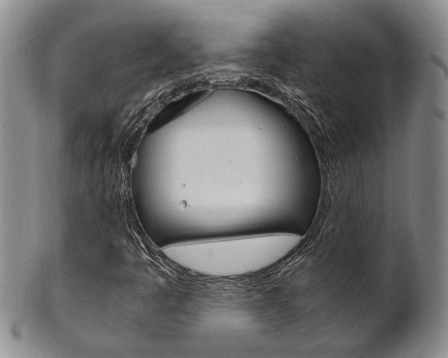 X0000101681445200807101133