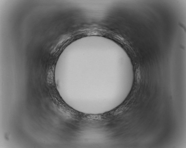 X0000101681446200807101133