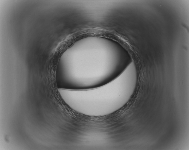 X0000101681447200807101133