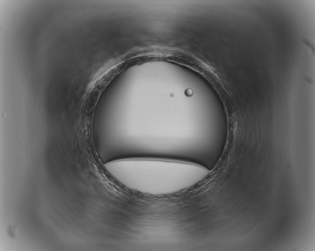 X0000101681448200807101133