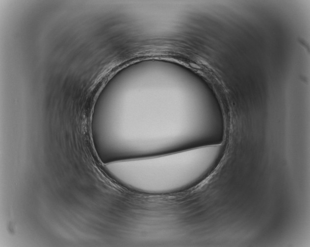 X0000101681449200807101133