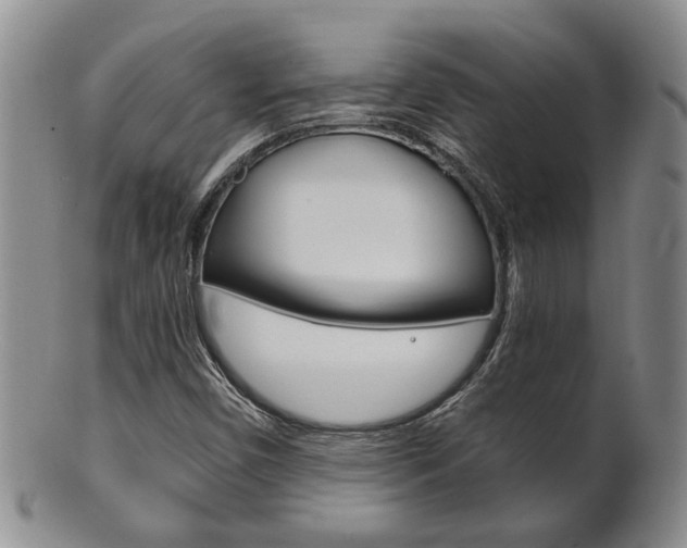 X0000101681450200807101133
