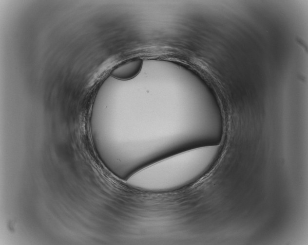X0000101681451200807101133