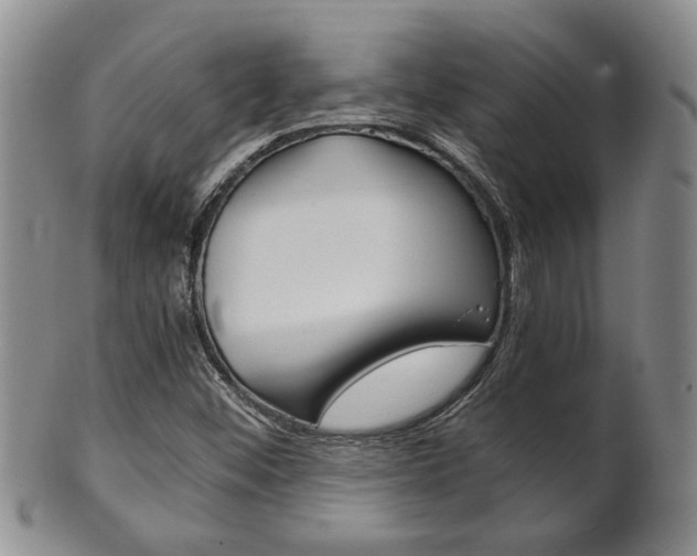 X0000101681452200807101133