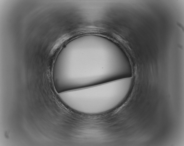 X0000101681453200807101132