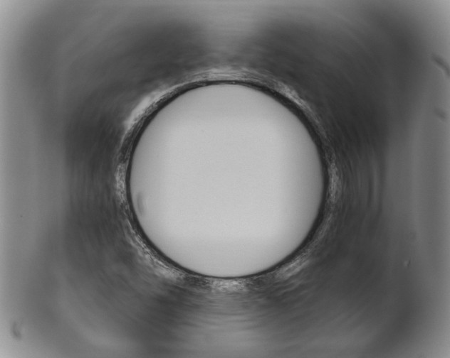 X0000101681454200807101132