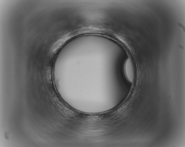 X0000101681455200807101132