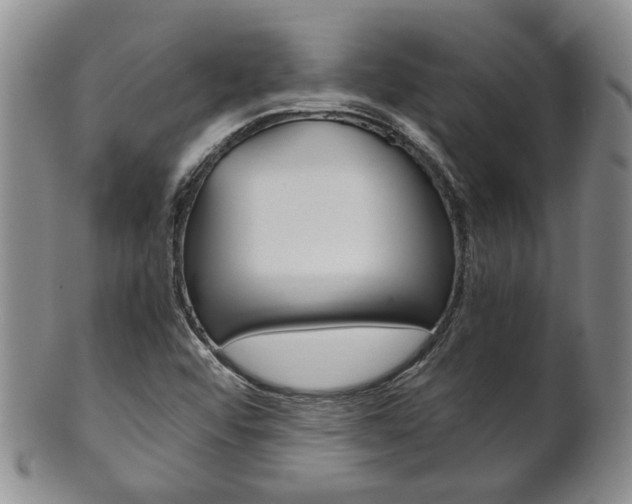 X0000101681456200807101132