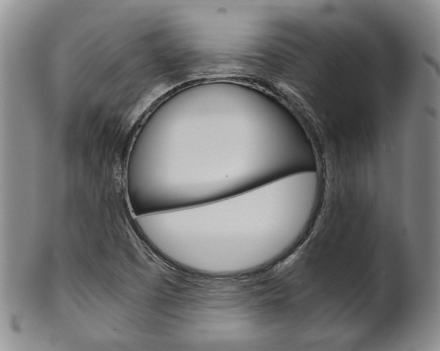 X0000101681457200807101132