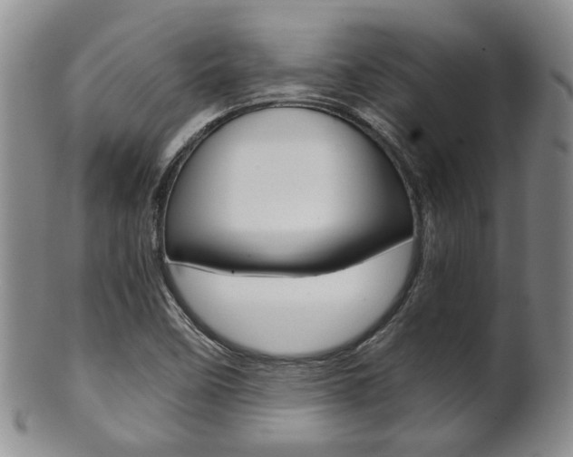 X0000101681458200807101132