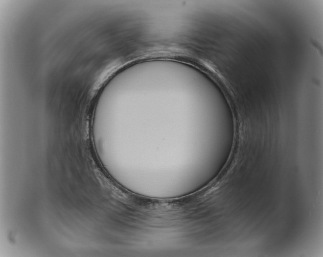 X0000101681459200807101132