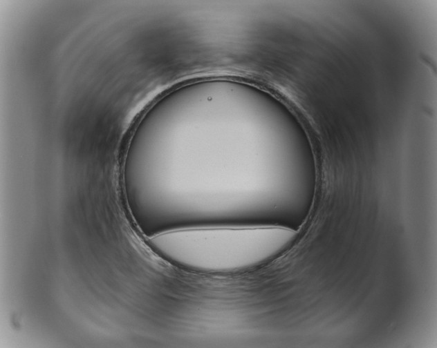 X0000101681460200807101132