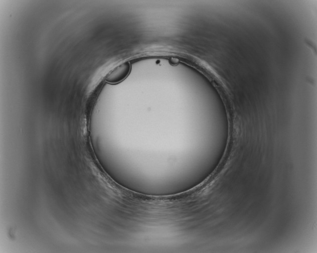 X0000101681461200807101132