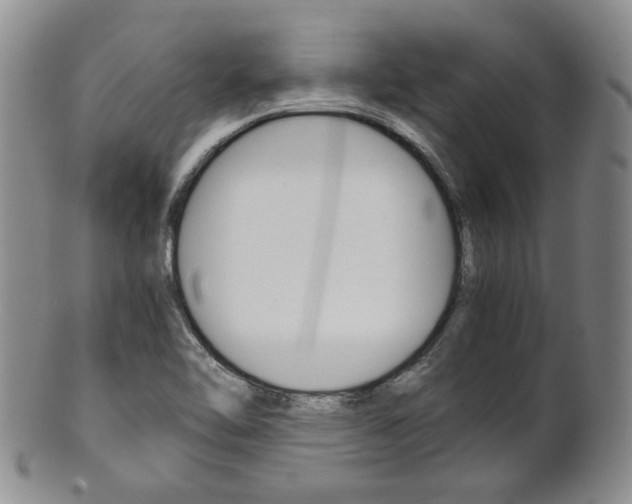 X0000101681462200807101132