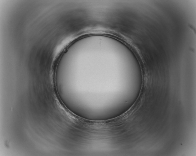 X0000101681464200807101132