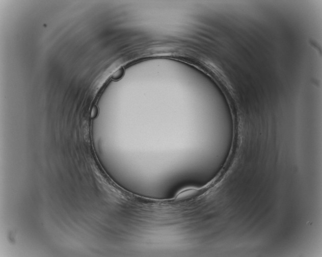 X0000101681465200807101132