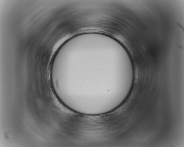 X0000101681466200807101132