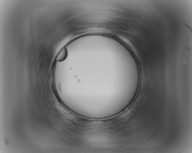 X0000101681467200807101132