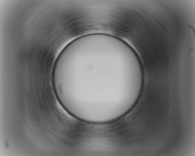 X0000101681468200807101132