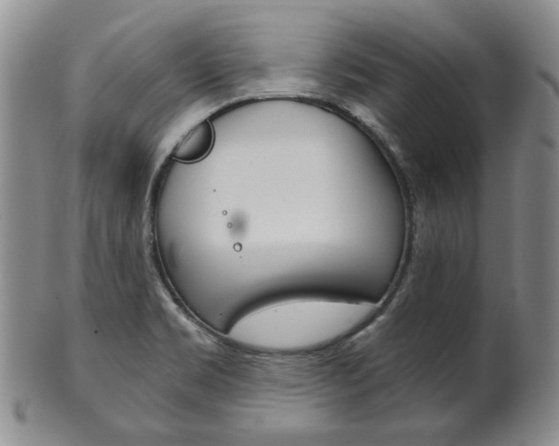 X0000101681469200807101132