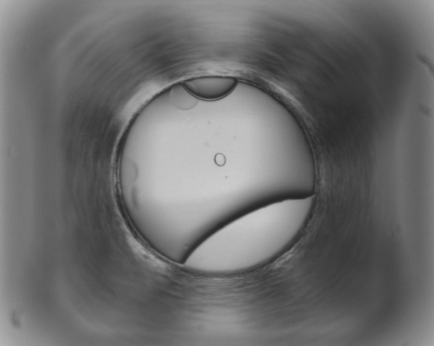 X0000101681471200807101132