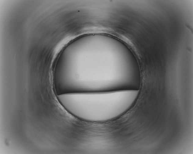X0000101681472200807101132