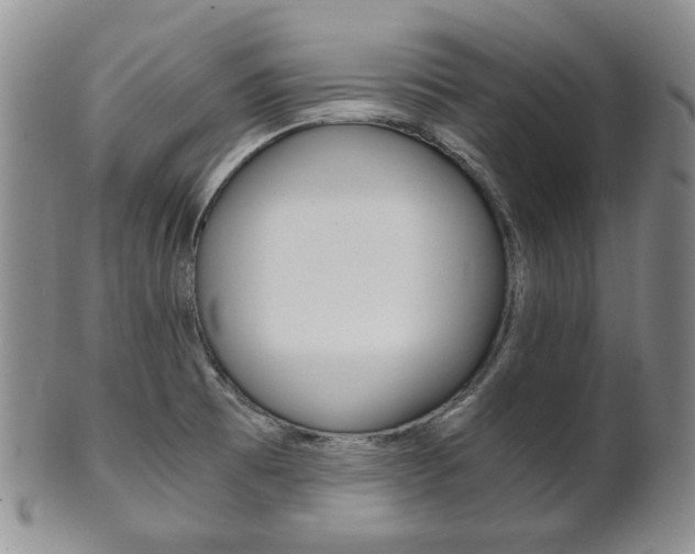 X0000101681473200807101132