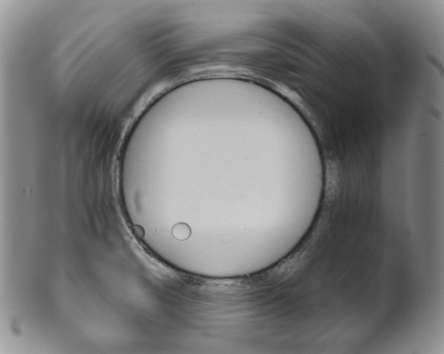 X0000101681474200807101132