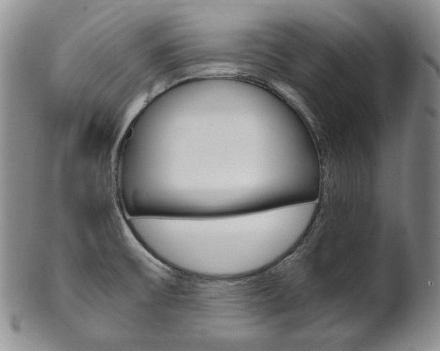 X0000101681475200807101132