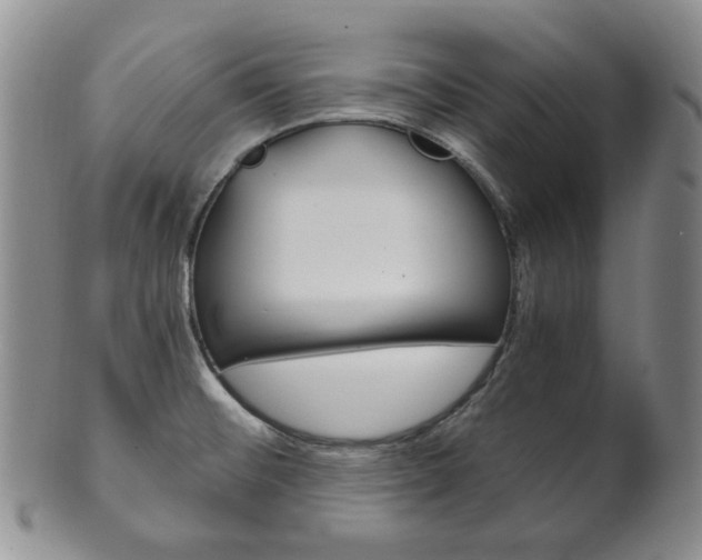 X0000101681476200807101132
