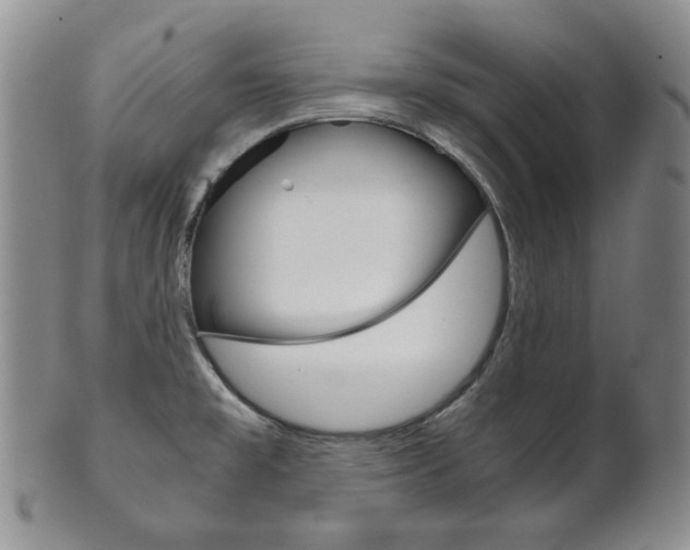 X0000101681477200807101132