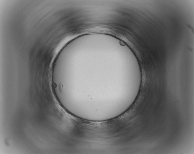 X0000101681478200807101132