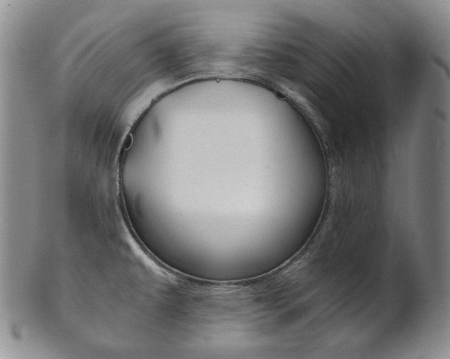 X0000101681479200807101132
