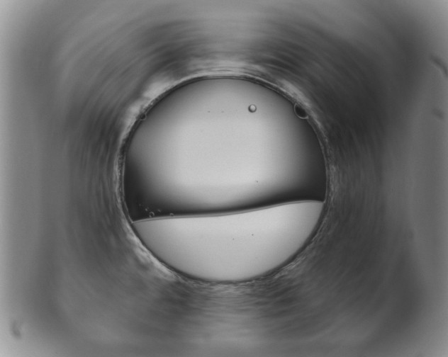 X0000101681480200807101132