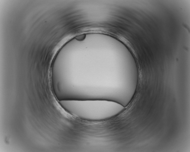 X0000101681482200807101132