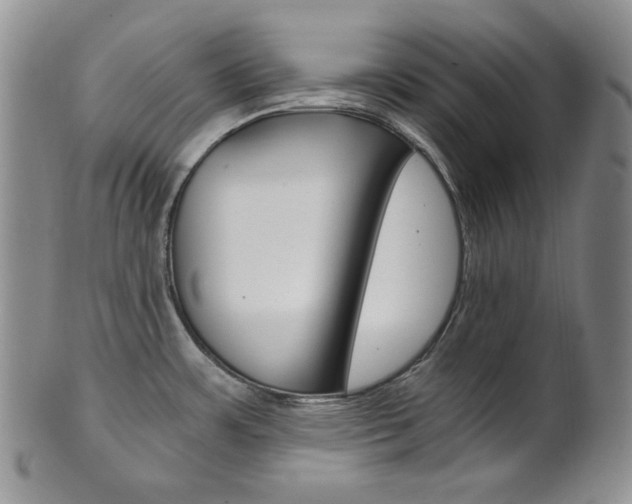 X0000101681483200807101132