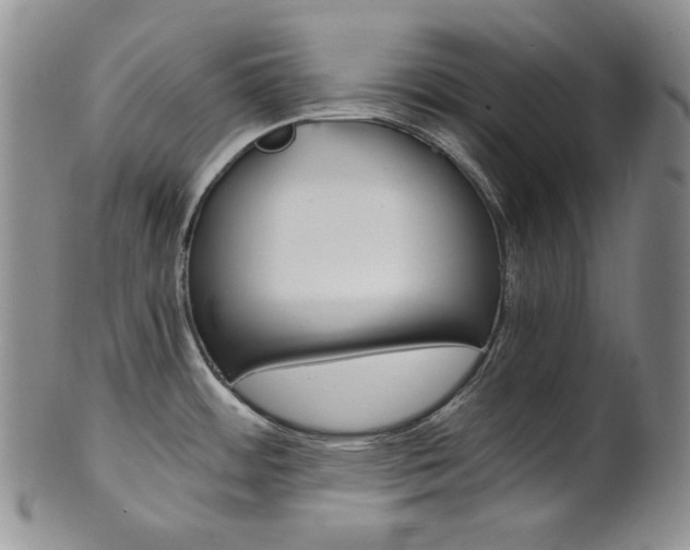 X0000101681484200807101132