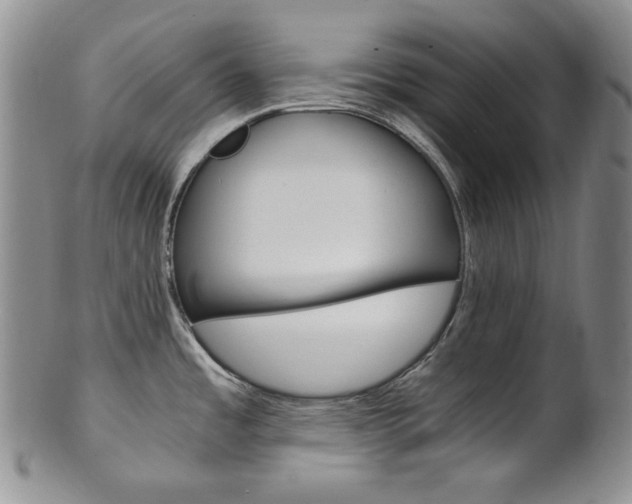 X0000101681485200807101132