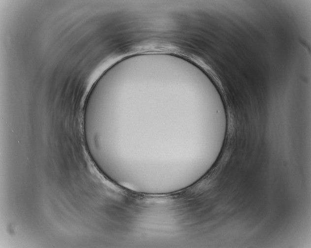 X0000101681486200807101132