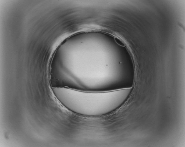 X0000101681488200807101132