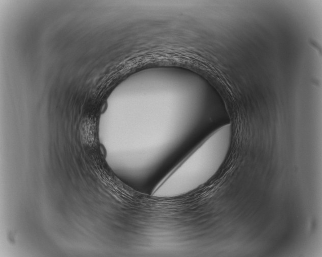 X0000101681490200807101131