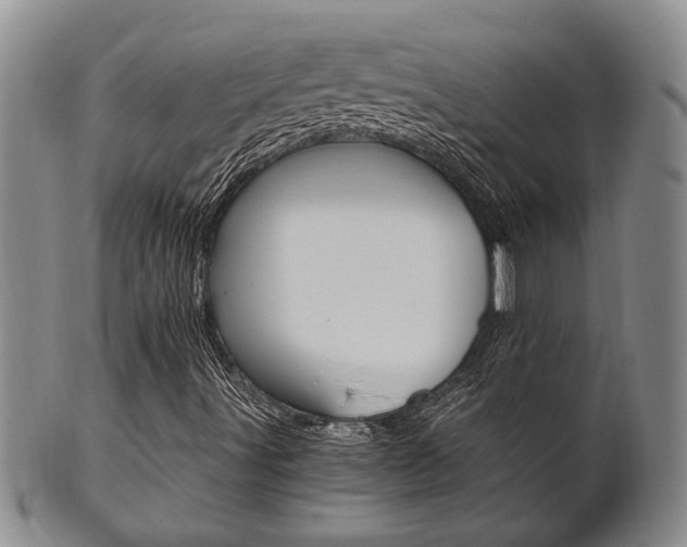 X0000101681491200807101131
